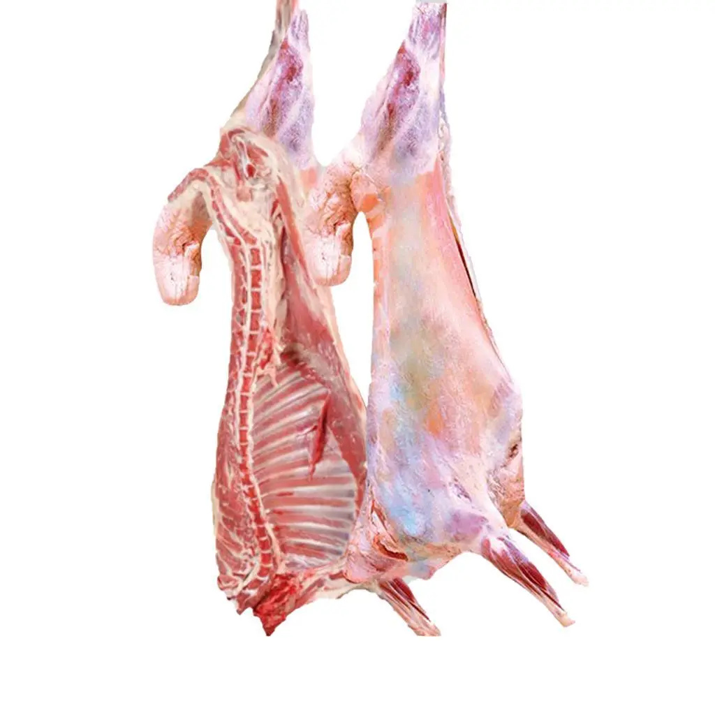 Naeemi Sheep